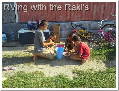 Free range fun helps kids build background knowledge and process all the learning that goes on during the school year.