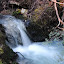 Stream - Waiotapu, New Zealand