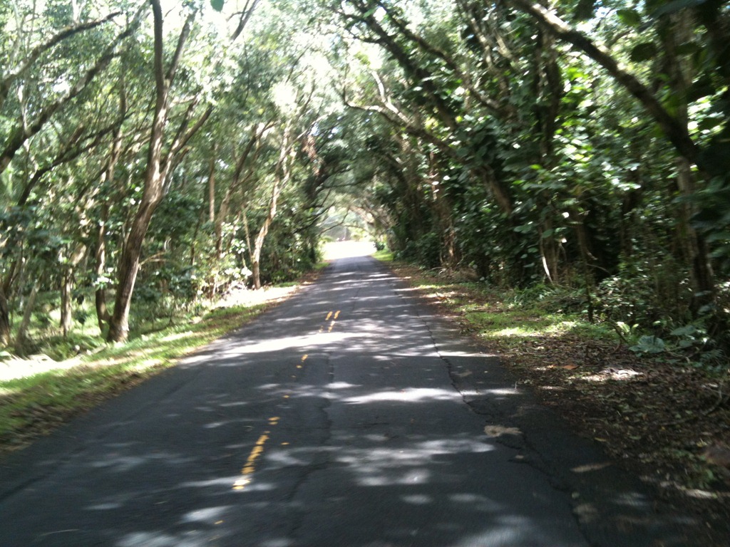 [IMG_0376%255B3%255D.jpg]