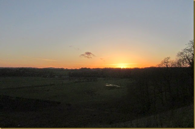 IMG_4185 IMG_4185