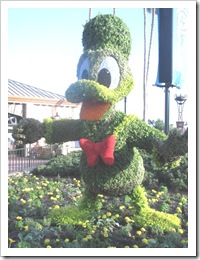 Florida vacation Epcot topiary donal duck