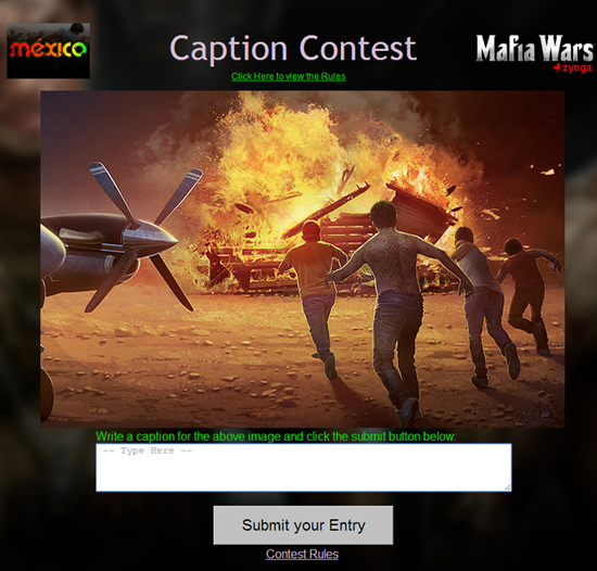 contest contest