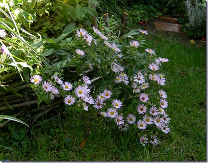 DSCN4213 DSCN4213
