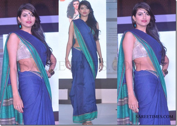 Traditional_Saree
