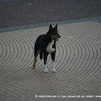 31AE62BA8E31-79.jpg
