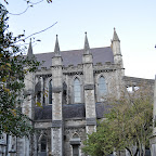 DSC_8219-2.jpg