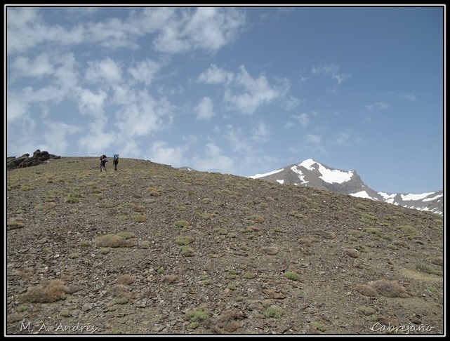 Sierra Nevada 199