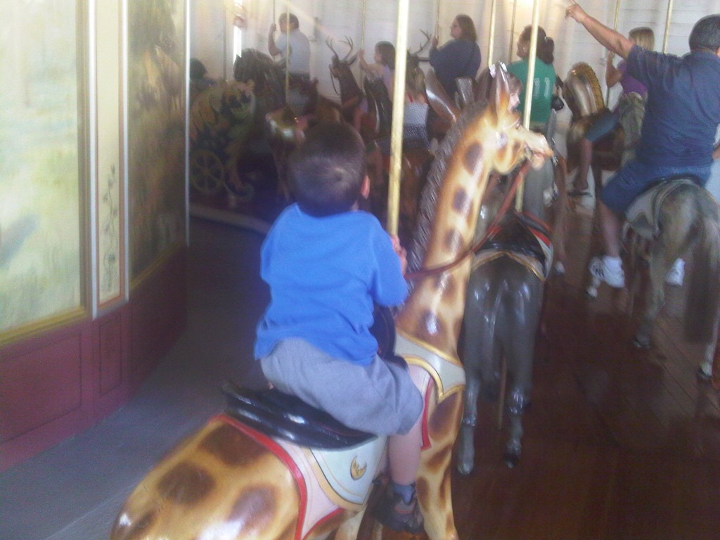 [IMG00376-20100530-1835%255B2%255D.jpg]