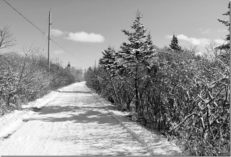 IMG_3105 IMG_3105