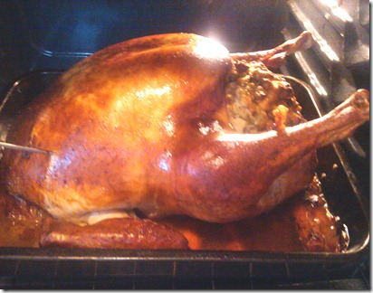 The Thanksgiving Bird