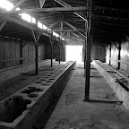 20061123133836__PB232231_2.JPG
