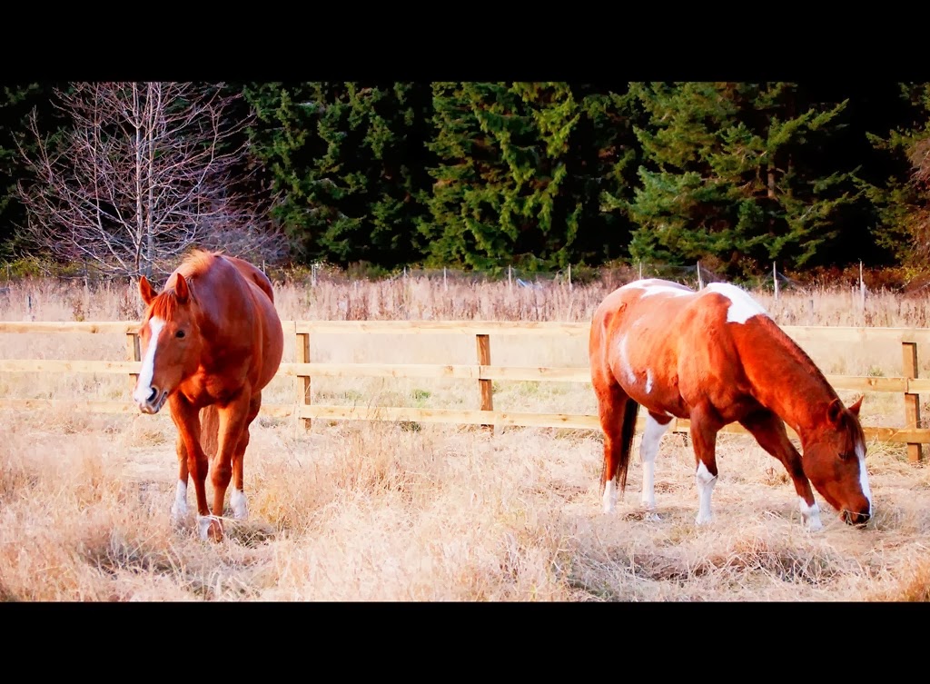 [26%2520Nov%252010%255B3%255D.jpg]