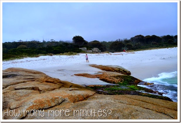 How Many More Minutes? ~ Bay of Fires, Tasmania: part two!