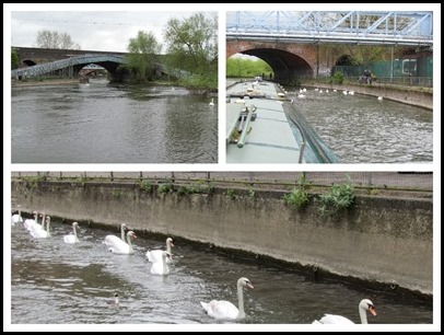 8 On the Thames 8 On the Thames