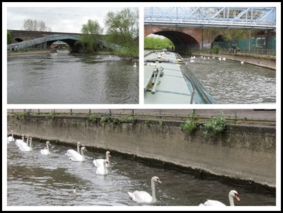 8 On the Thames