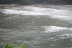 DSC_5842.JPG