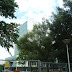 P1080637.JPG