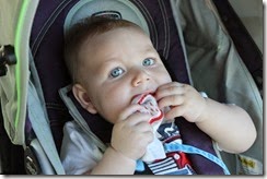 IMG_6587 IMG_6587