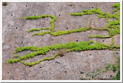 DSC_0539 DSC_0539