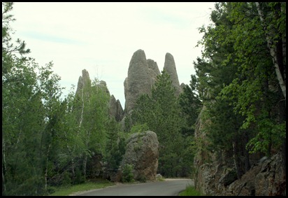 IMG_8817 IMG_8817