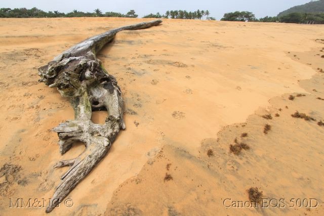 [IMG_9948%255B4%255D.jpg]