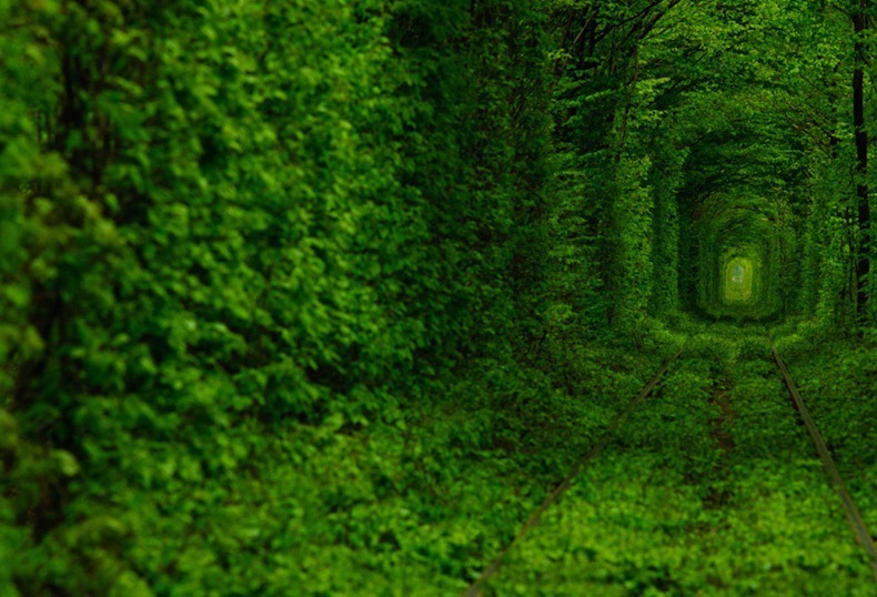 [tunnel-of-love-32%255B4%255D.jpg]