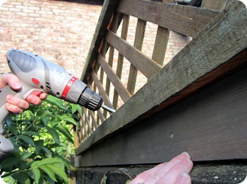attaching trellis attaching trellis