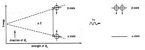 [clip_image00232.jpg]