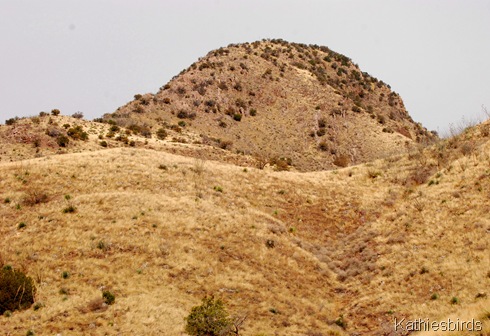 8. mound-kab