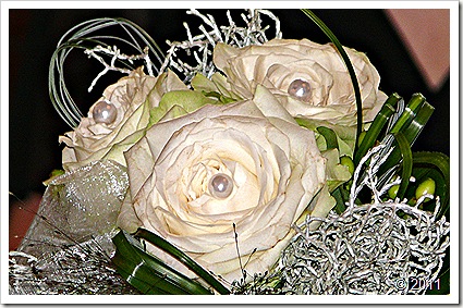 P1050559 P1050559