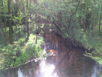 DSC00431.JPG Photo