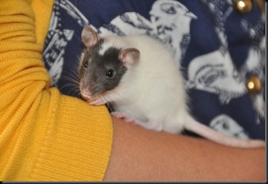 DSC_0677 DSC_0677