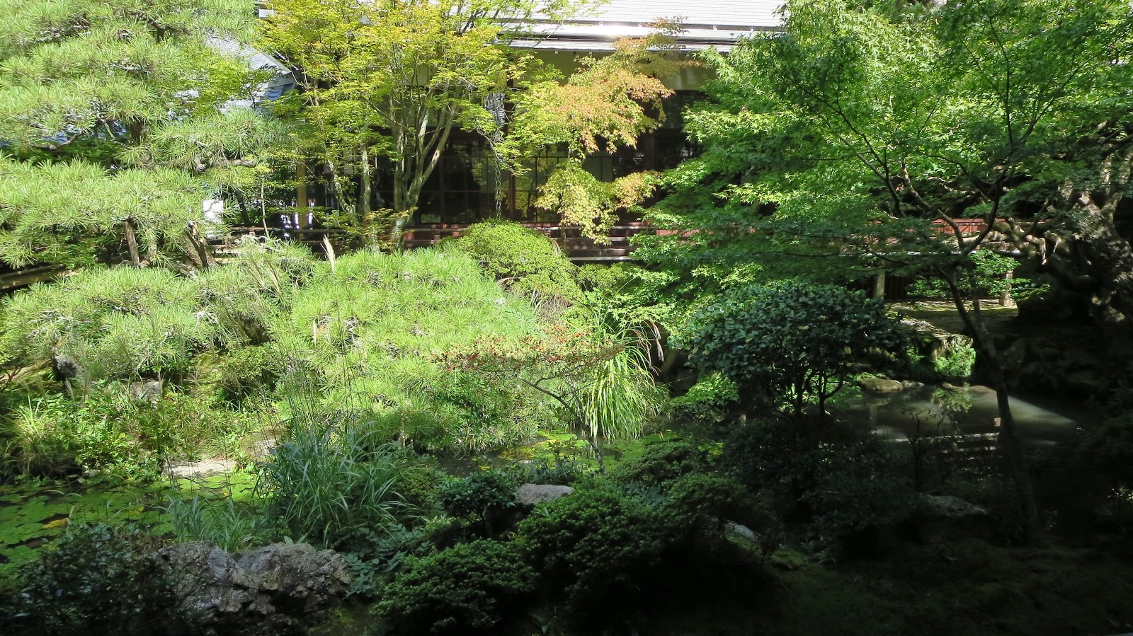 [IMG_1541%255B3%255D.jpg]