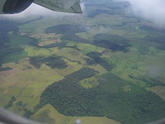CIMG5446