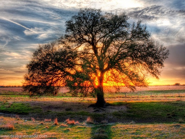 wallpapers-papei-de-parede-paisagem-natureza-nature-desbaratinando (20) wallpapers-papei-de-parede-paisagem-natureza-nature-desbaratinando (20)