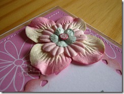 IMG_2216b IMG_2216b