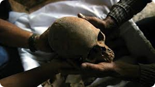 pueblos originarios calavera pueblos originarios calavera