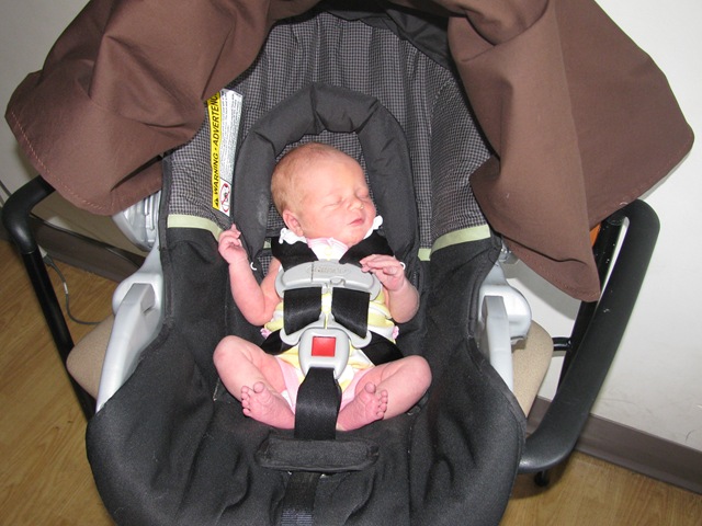 [IMG_3062%255B2%255D.jpg]
