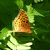 P1120236