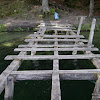 dsc04085.jpg