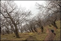 Pian della Quercia 28