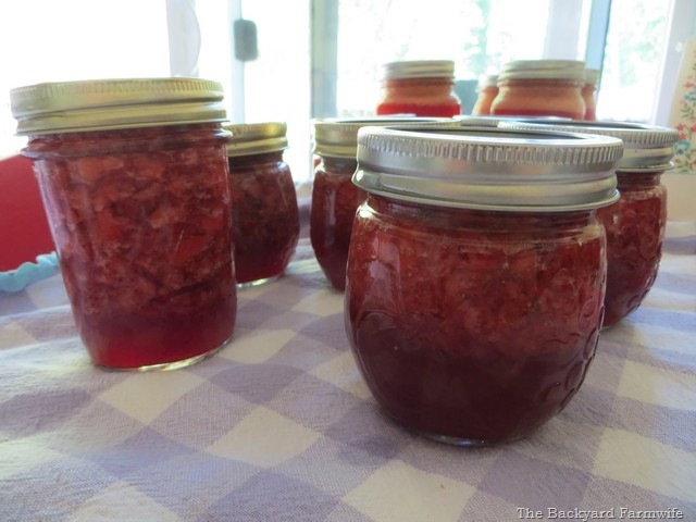 [strawberry%2520canning%2520day%252016%255B5%255D.jpg]