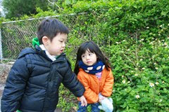IMG_3182 IMG_3182