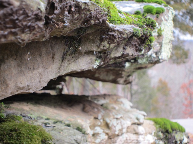 [IMG_04283.jpg]