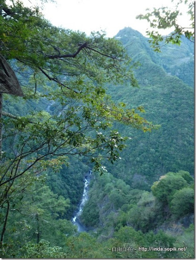 司馬庫斯部落-傳說中的神秘谷 司馬庫斯部落-傳說中的神秘谷