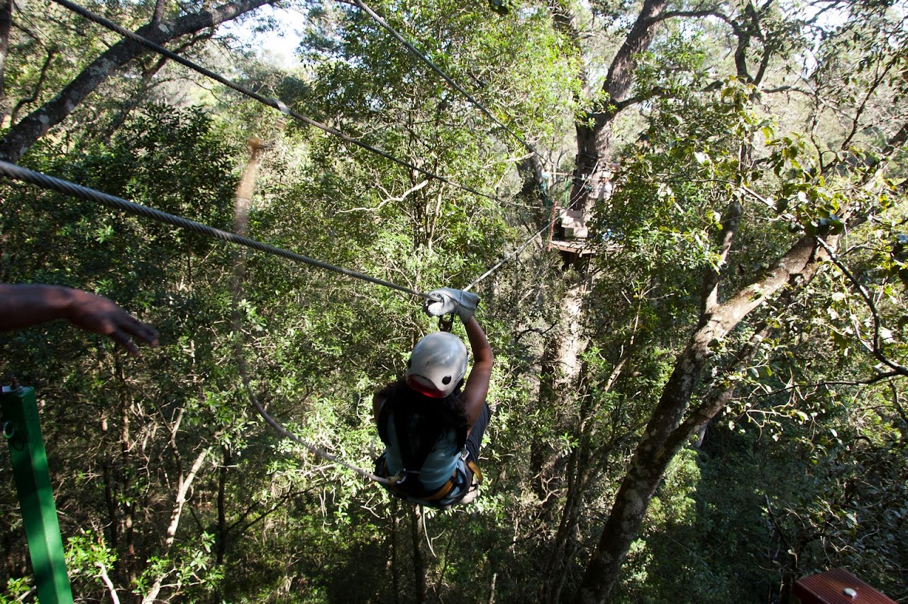 Swinging down lines at Tsitsikamma
