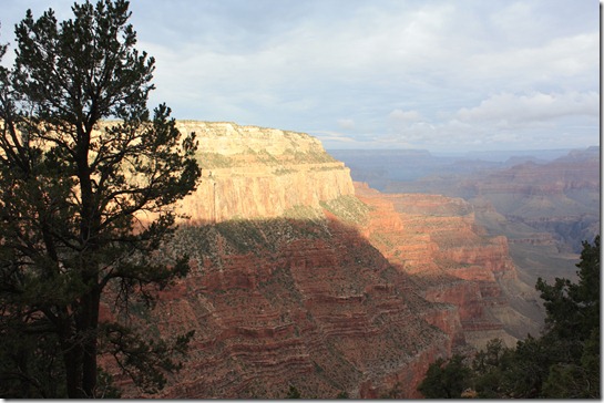 IMG_3041 IMG_3041