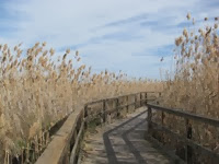 IMG_8478 IMG_8478