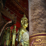 IMG_4381.JPG