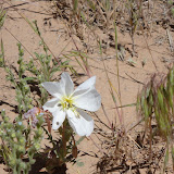 DSC00055.JPG